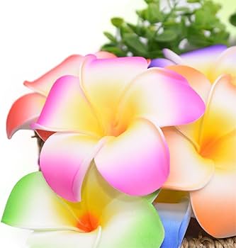 Amazon | 8個 ハイビスカス 髪飾り 花 プルメリア ヘアクリップ 花